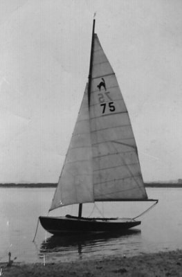 Wildcat
Keywords: wildcat