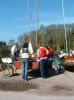 shearwater_04_a_192.jpg