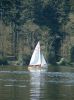 shearwater_04_a_205.jpg