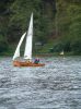 shearwater_04_a_236.jpg
