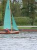 shearwater_04_a_246.jpg