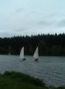 shearwater_04_a_283.jpg