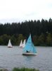 shearwater_04_a_284.jpg