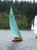 shearwater_04_a_288.jpg