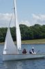 bough-beech-144.jpg