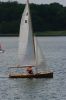 bough-beech-6486.jpg