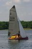 bough-beech-6530.jpg