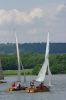 bough-beech-6537.jpg
