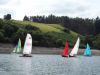 clywedog_2025_g_4778.JPG