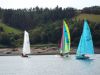 clywedog_2025_g_4791.JPG