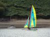 clywedog_2025_g_4800.JPG