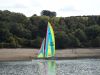 clywedog_2025_g_4824.JPG