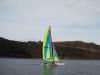clywedog_2025_g_4846.JPG