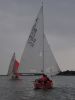 y_felinheli_26_m_4707.JPG