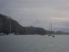 y_felinheli_26_m_4741.JPG